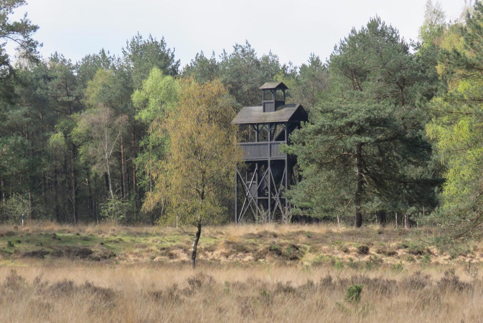 Huisje De Geluksvogel Zorgvlied Exterior photo